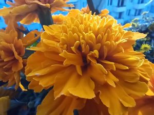 IMG 20240611 031716