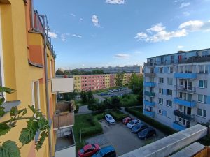 IMG 20240611 031819