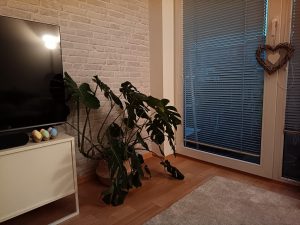 IMG 20240611 054200