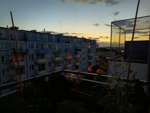 IMG 20240611 054230