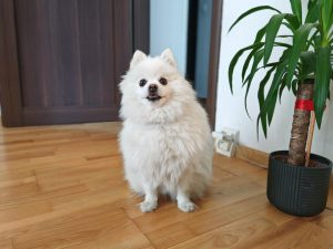 IMG 20240625 131020