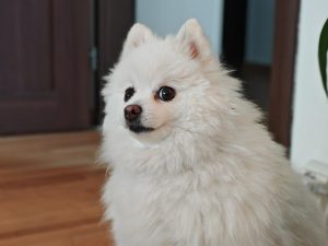 IMG 20240625 131111