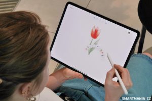 Stylus Apple Pencil Pro