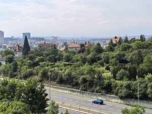 Huawei Pura 70 Pro - testovací snímek - 3,5× přiblížení