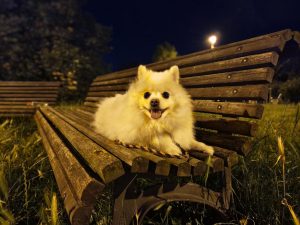 IMG 20240711 233059