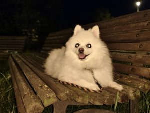 IMG 20240711 233202