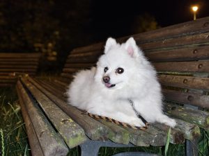 IMG 20240711 233209