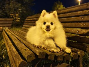 IMG 20240711 233248