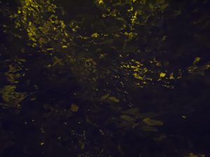 IMG 20240806 223622