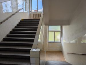PXL 20240821 145635323