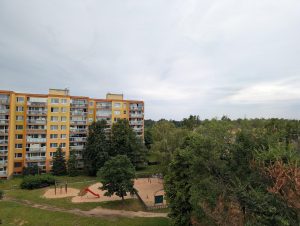 google pixel 9 galerie 44