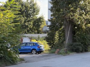 IMG 0005