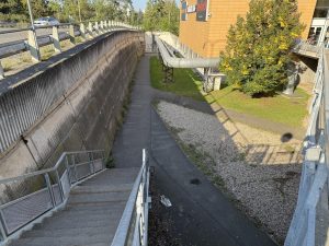 IMG 0022