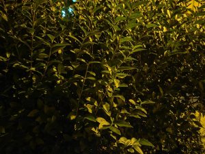 IMG 20240820 233225