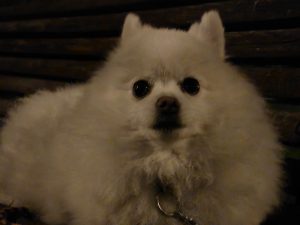 IMG 20240825 233858