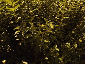 IMG 20240911 233640888 HDR
