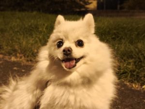IMG 20240929 202346
