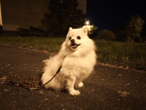 IMG 20240929 202359