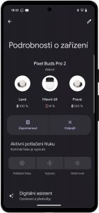 Pixel Buds app1