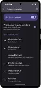 Pixel Buds app3