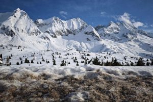 Fotografie pořízená telefonem Xiaomi 14 Ultra
