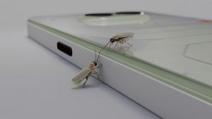 Nothing Phone (2a) Plus Community Edition