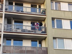IMG 20241015 174533 252