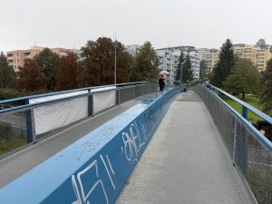 IMG 4128