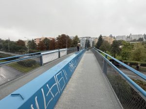 IMG 4129