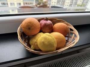 IMG 4187