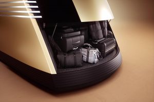 Autonomní vozidlo Tesla Robovan