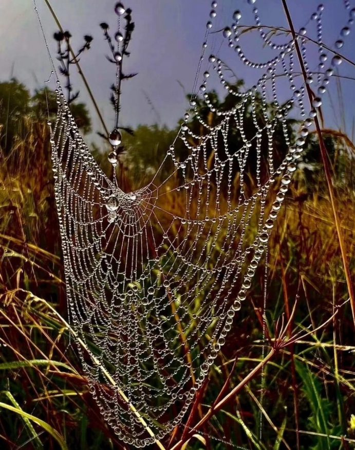 Výherní soutěžní fotografie