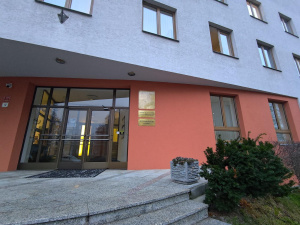 P 20241127 153619