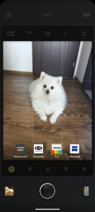 Screenshot 20241127 113359