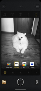 Screenshot 20241127 113404