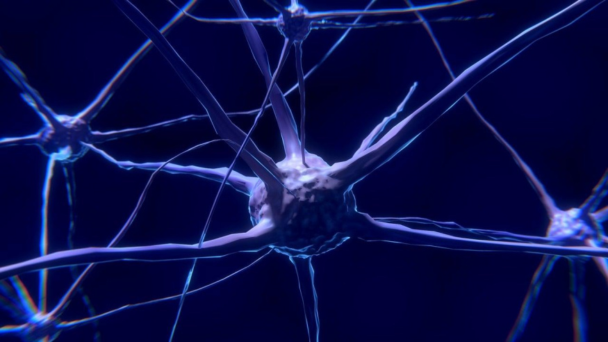 Vizualizace neuronu