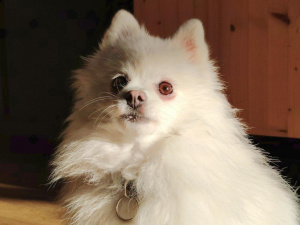 Img 20241226 142906