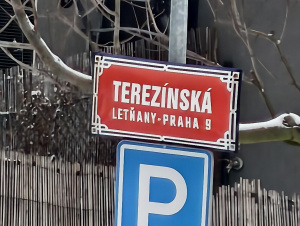 Img 20250105 145006