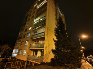 Img 20250115 195214