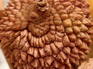 Img 20250115 200118