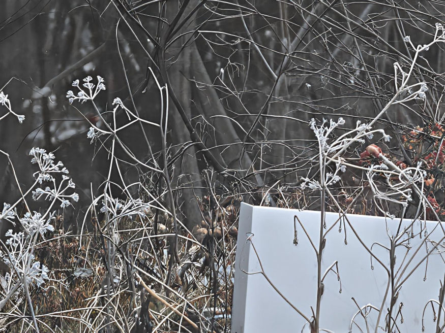 Img 20250117 090241 Enhance002 Cover