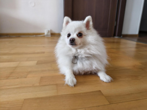Img 20250121 113102
