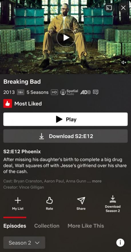 Tlačítko na stažení celé řady na Netflixu