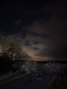 Fotografie pořízená telefonem Vivo X200 Pro
