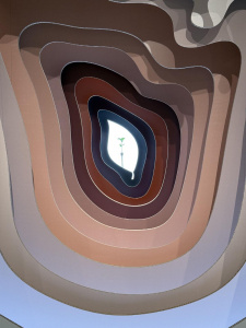 Fotografie z iPhonu 16 Pro