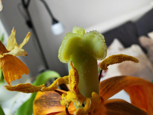 Img 20250201 143308