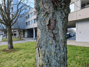 Img 20250201 143952