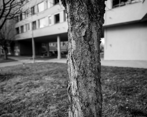 Img 20250201 144024