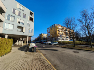 Img 20250201 144554