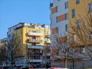 Img 20250201 144557